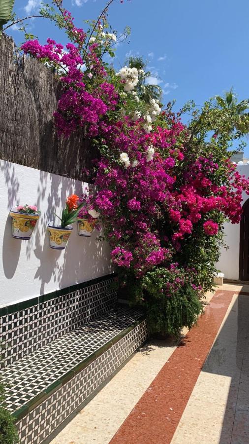 Marbella Villa On The Beach エクステリア 写真